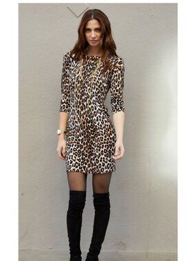 EQUIPMENT Cashmere and Silk Leopard Print Marta Dress Size Large